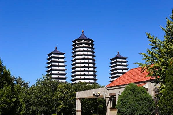 潮白陵园景观